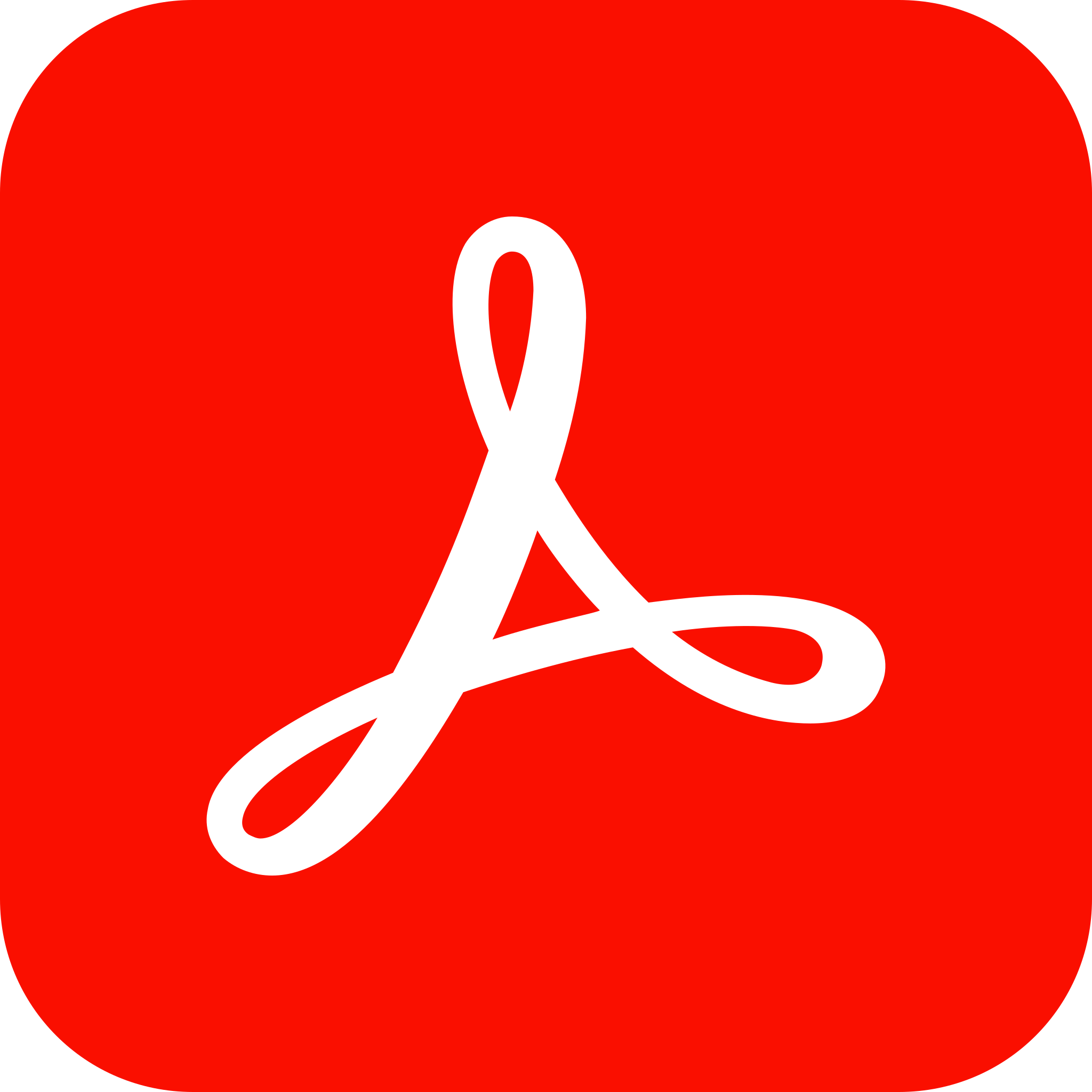 Acrobat - Interaktive PDF-Formulare mit Acrobat Professional